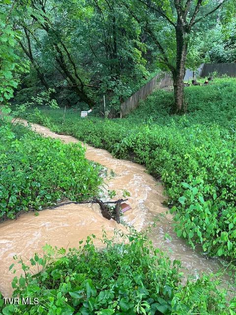 Tbd Patty Branch Road Bristol, TN 37620 - Photo 37 of 43 IMG_0293