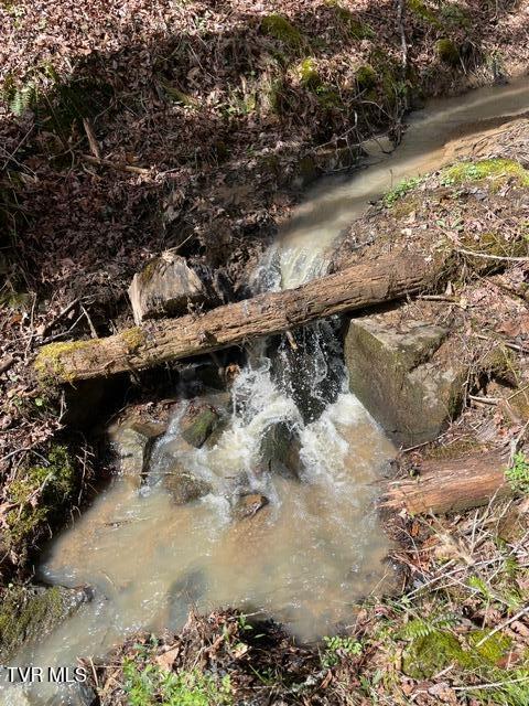 Tbd Patty Branch Road Bristol, TN 37620 - Photo 39 of 43 IMG_0296