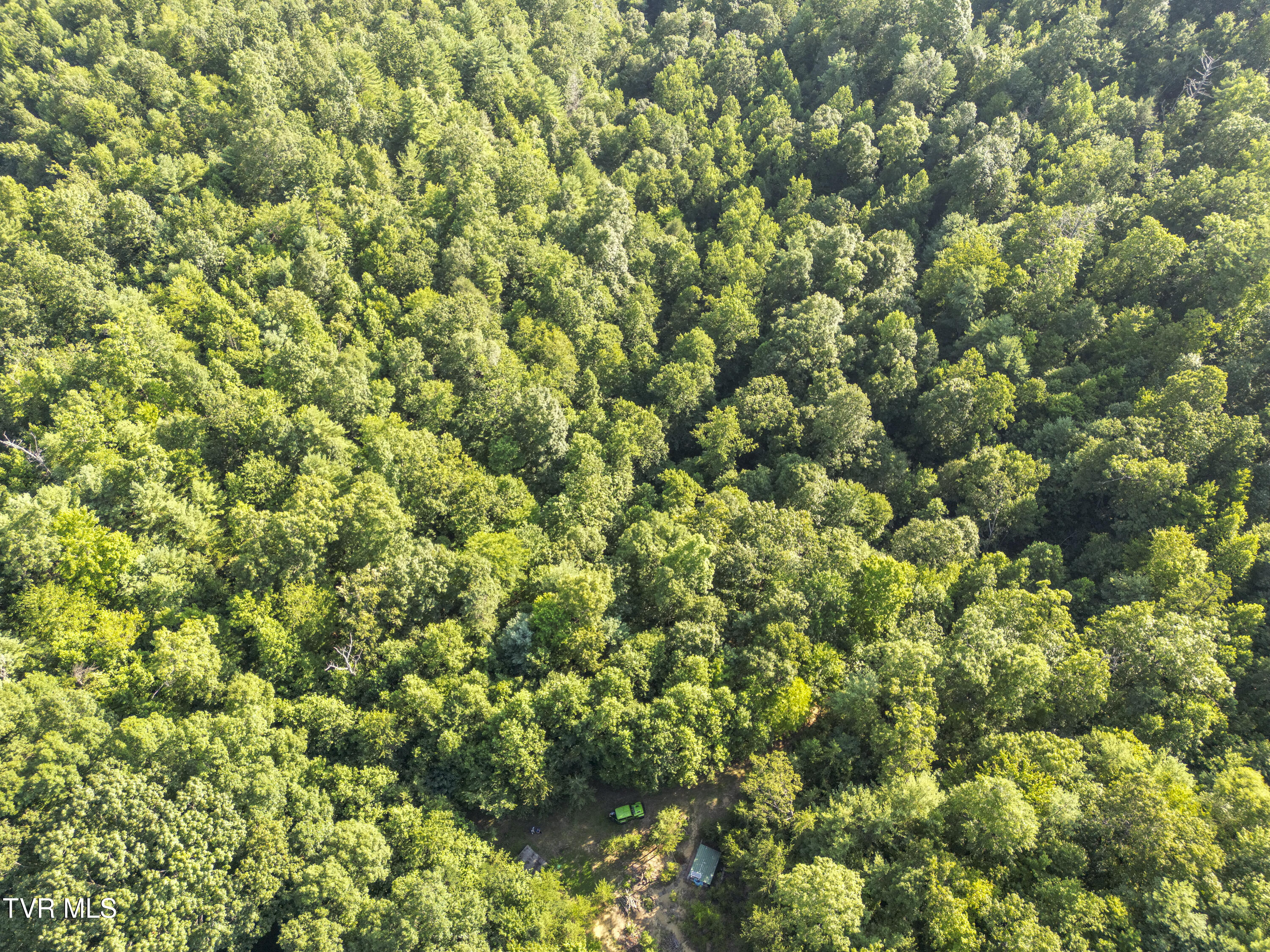 Tbd Patty Branch Road Bristol, TN 37620 - Photo 4 of 43 00 Patty-Branch-Bristol-TN-36