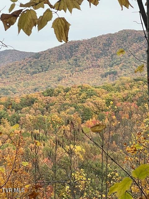 Tbd Patty Branch Road Bristol, TN 37620 - Photo 42 of 43 IMG_7194