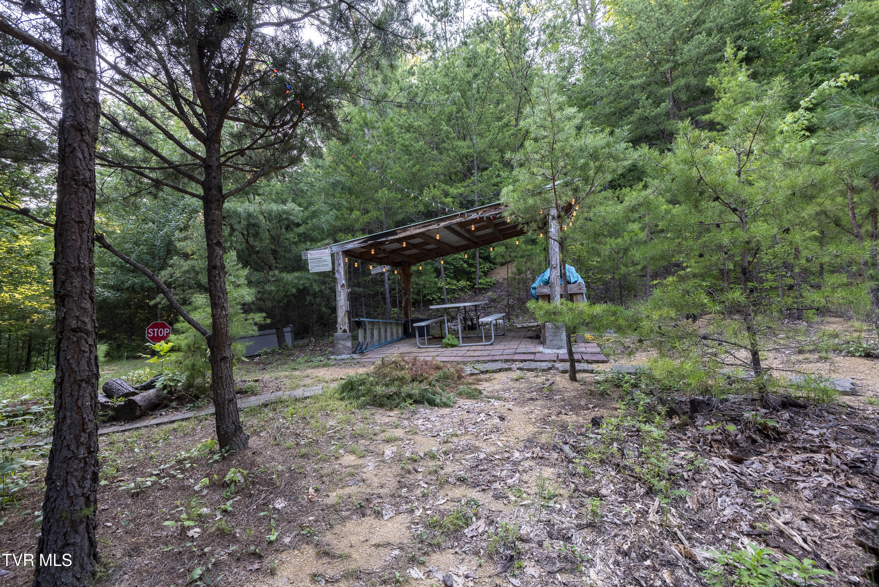 Tbd Patty Branch Road Bristol, TN 37620 - Photo 9 of 43 00 Patty-Branch-Bristol-TN-15