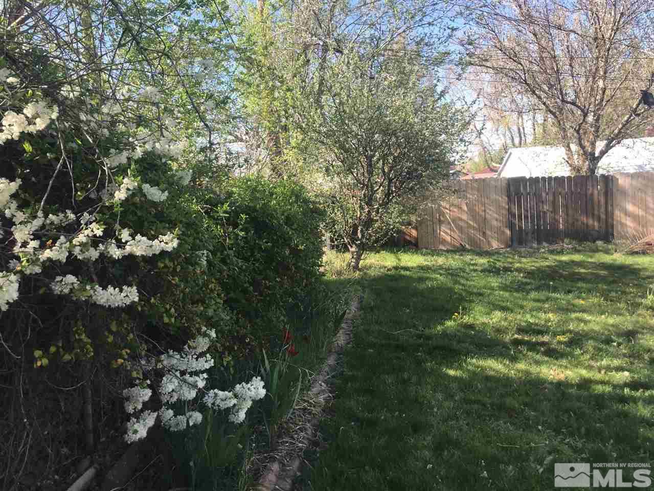 1205 Wilkinson Avenue Reno, NV 89502 - Photo 16 of 17 a view of a yard with plants and large trees