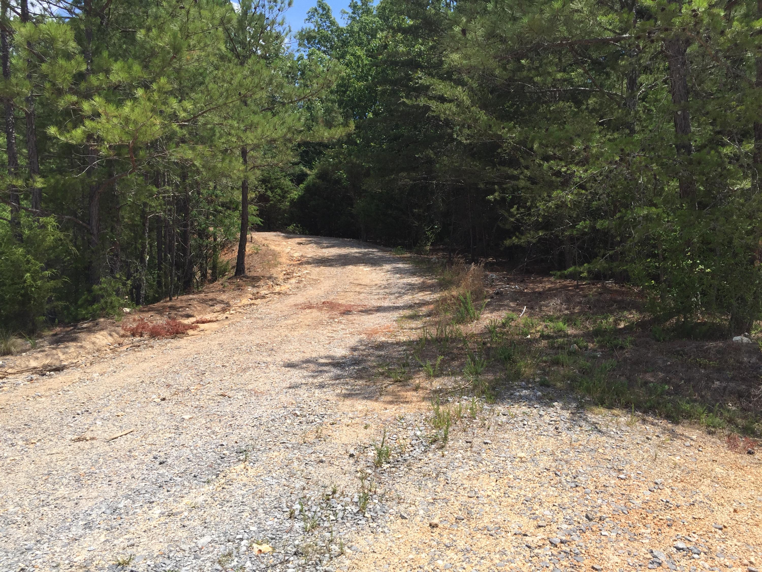 27 North Highway 27 Rock Spring, GA 30739 - Photo 2 of 5 IMG_0814