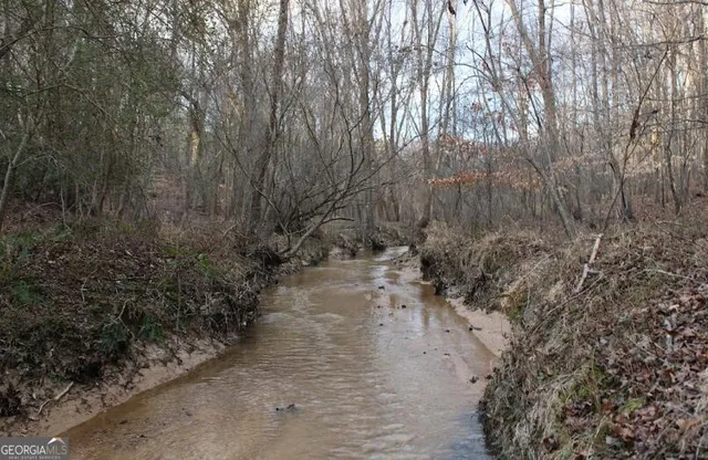 a view of a yard with trees
