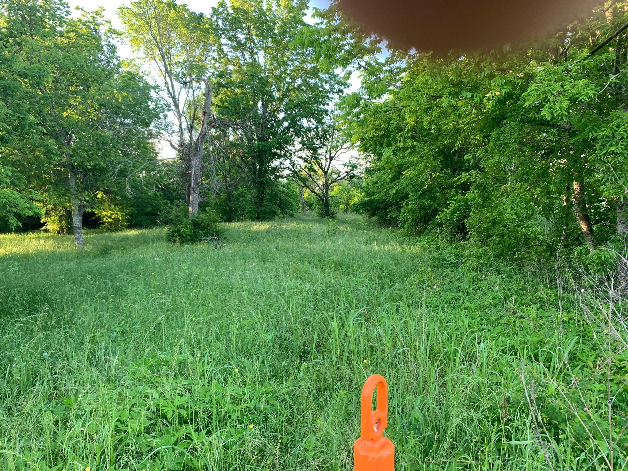 501 Fm 1227 Navasota, TX 77868 - Photo 2 of 12 a backyard of a house with table and chairs