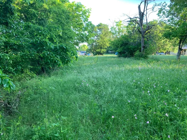 a view of green field with trees in the background