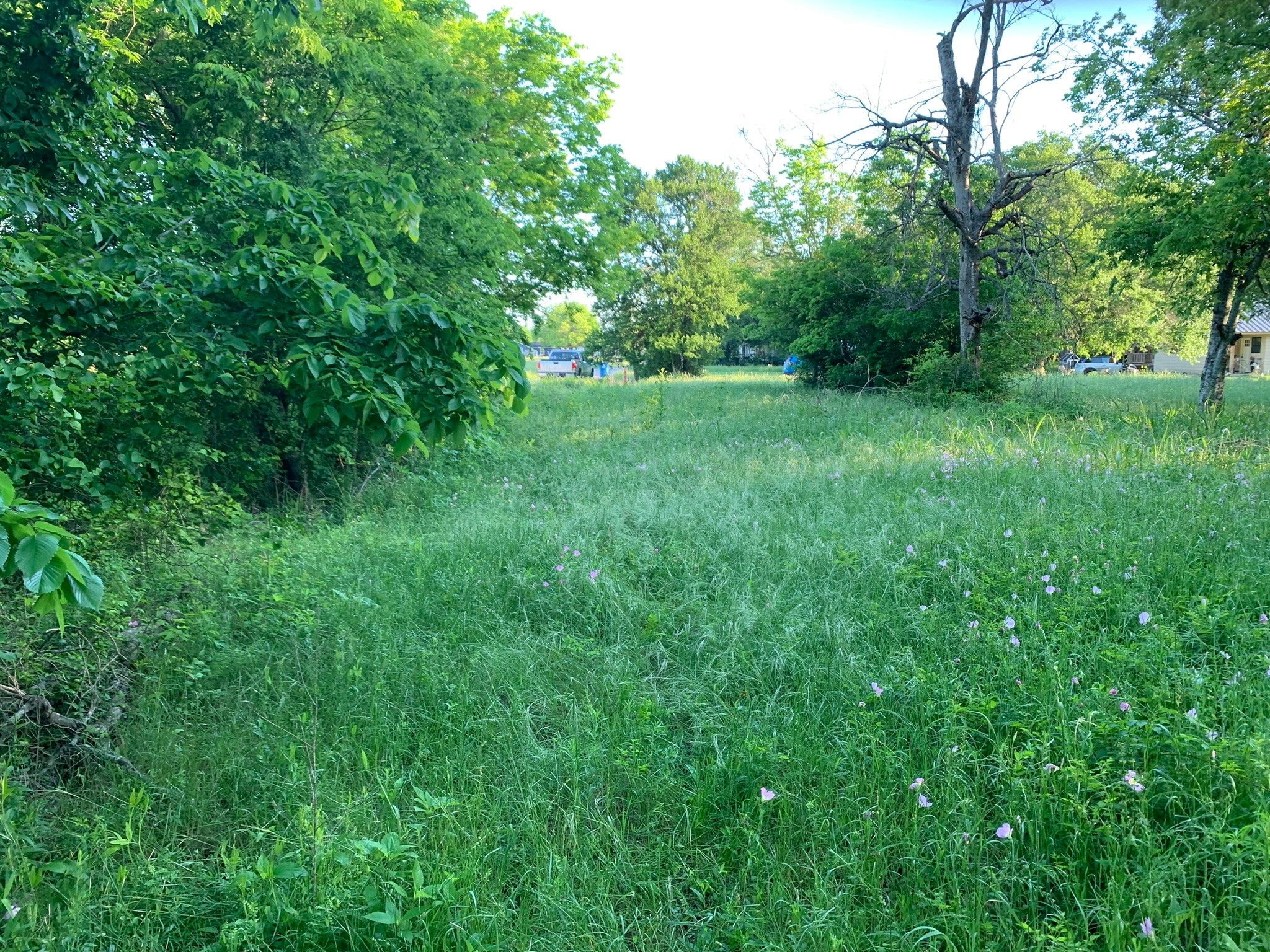 501 Fm 1227 Navasota, TX 77868 - Photo 6 of 12 a view of green field with trees in the background