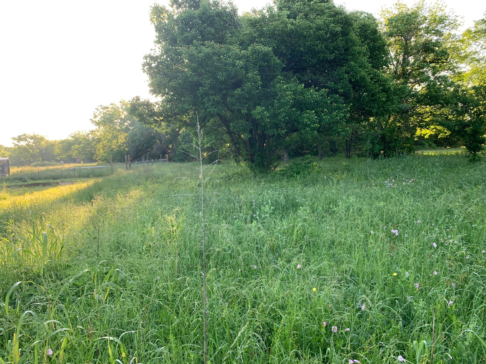 501 Fm 1227 Navasota, TX 77868 - Photo 8 of 12 a view of an outdoor space and a yard