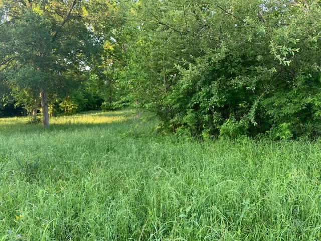a view of a grassy field