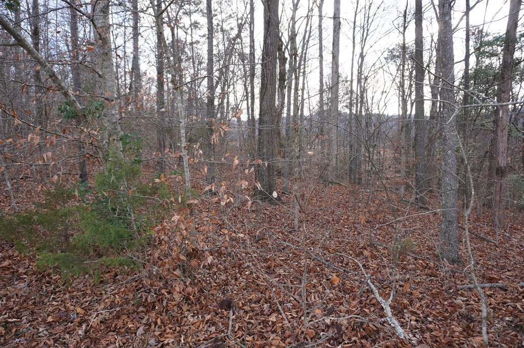 14 Meadowood Road Newport, TN 37821 - Photo 19 of 24 Gallery Image 19