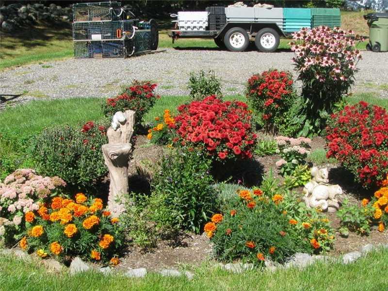 30 Twin Oaks Road Harpswell, ME 04079 - Photo 5 of 19 Yard/Garden.