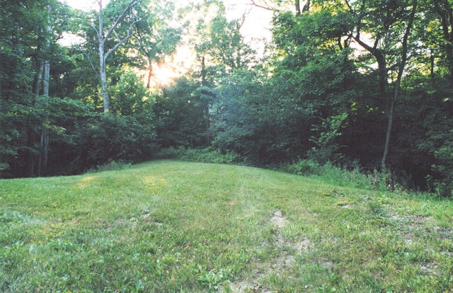 721 Cleveland Road Hinsdale, IL 60521 - Photo 1 of 1 a view of a yard with a tree