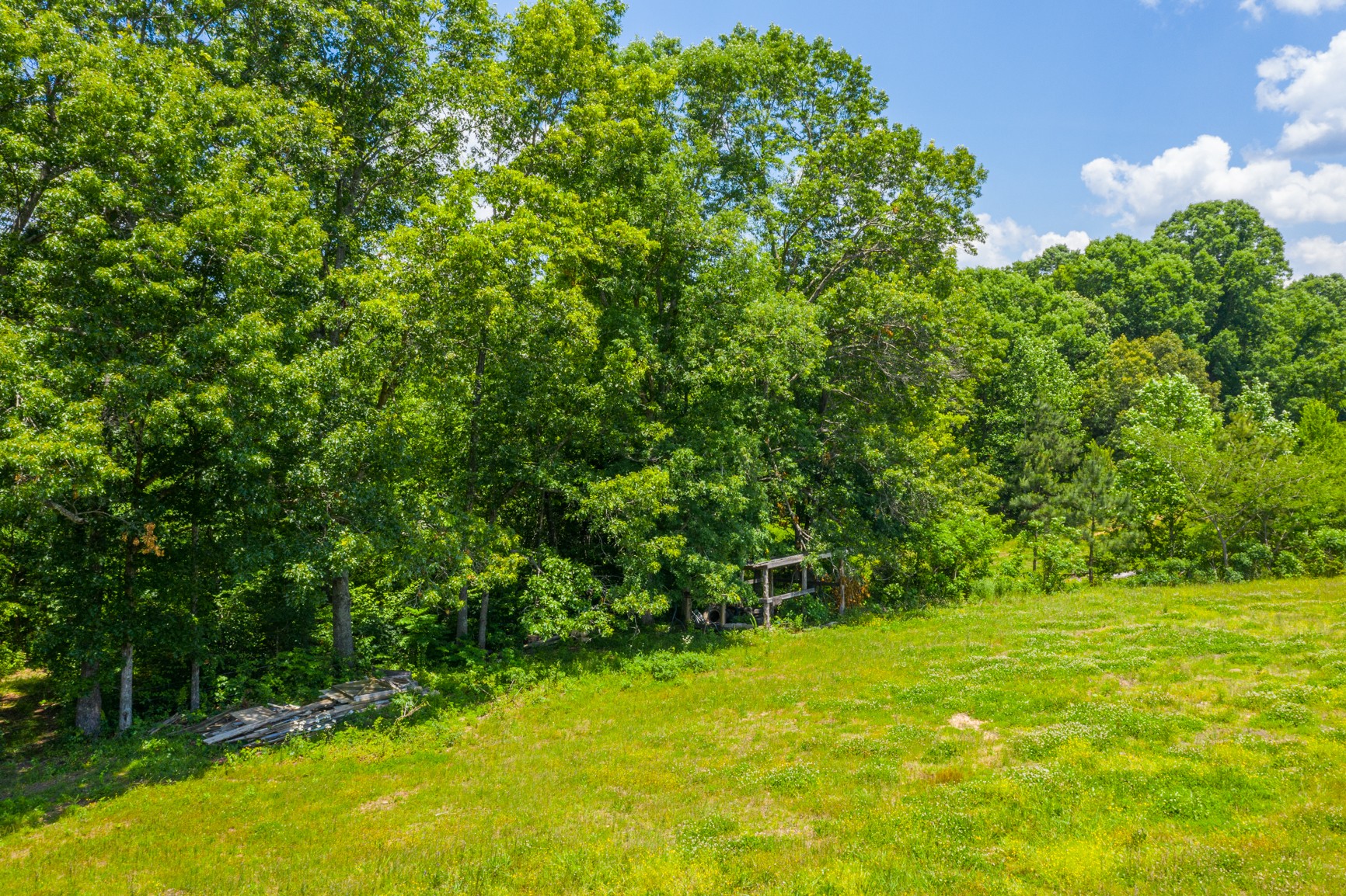 7040 M And M Road Lyles, TN 37098 - Photo 36 of 38 Gallery Image 36