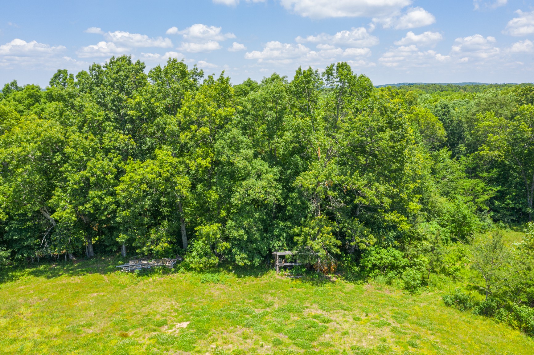7040 M And M Road Lyles, TN 37098 - Photo 6 of 38 Gallery Image 6