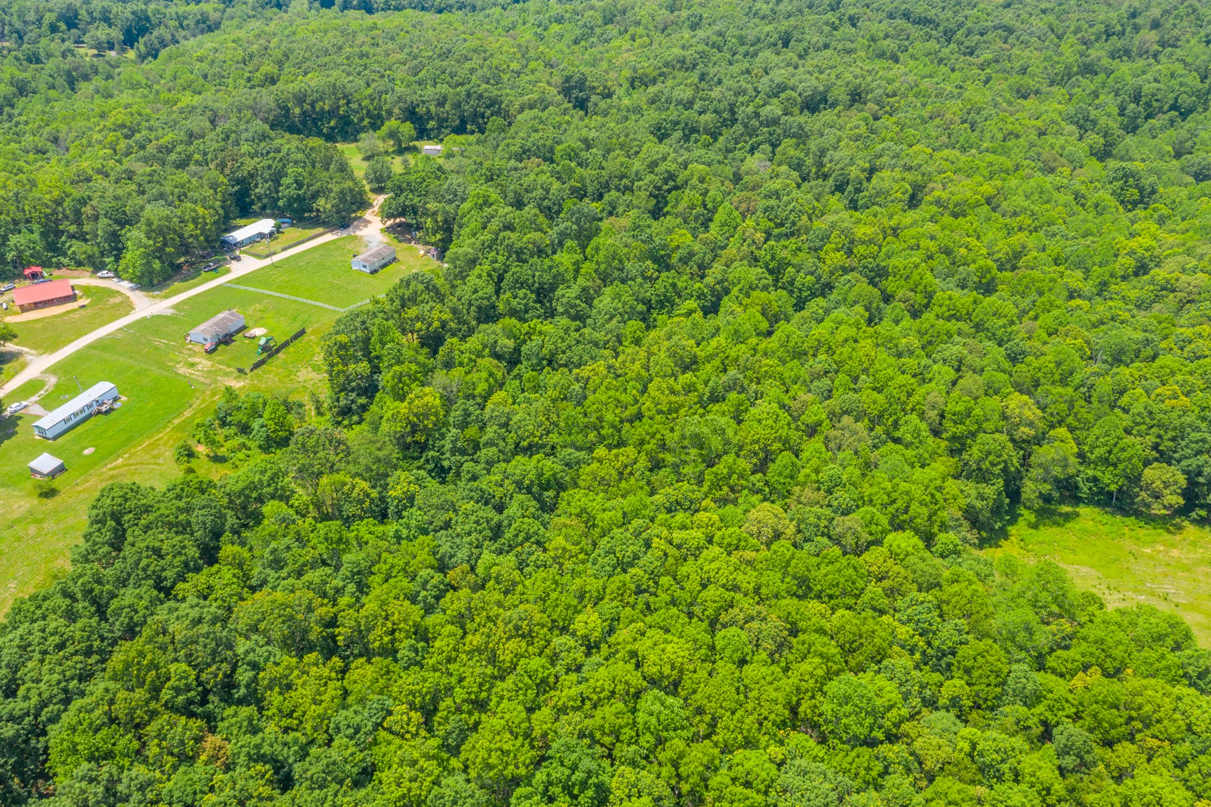 7040 M And M Road Lyles, TN 37098 - Photo 7 of 38 Gallery Image 7