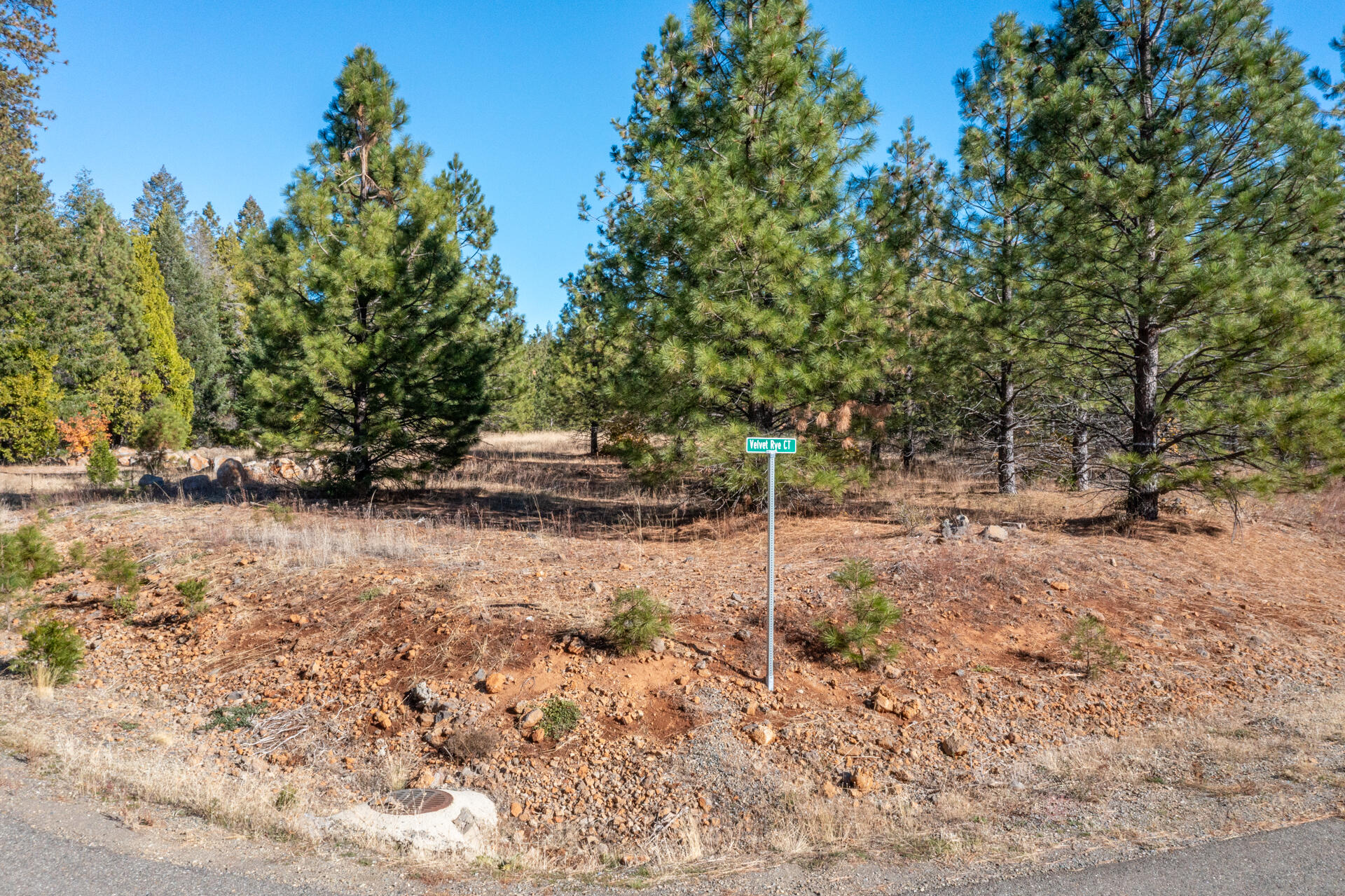 Lot 7 Velvet Rye Court Shingletown, CA 96088 - Photo 12 of 14 a view of yard