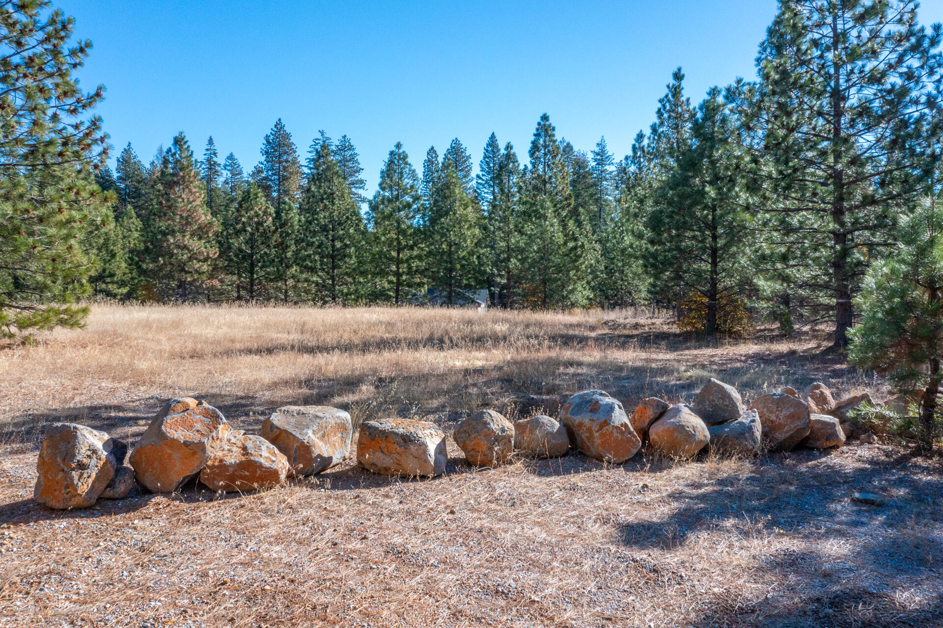 Lot 7 Velvet Rye Court Shingletown, CA 96088 - Photo 10 of 14 a view of a road with some trees