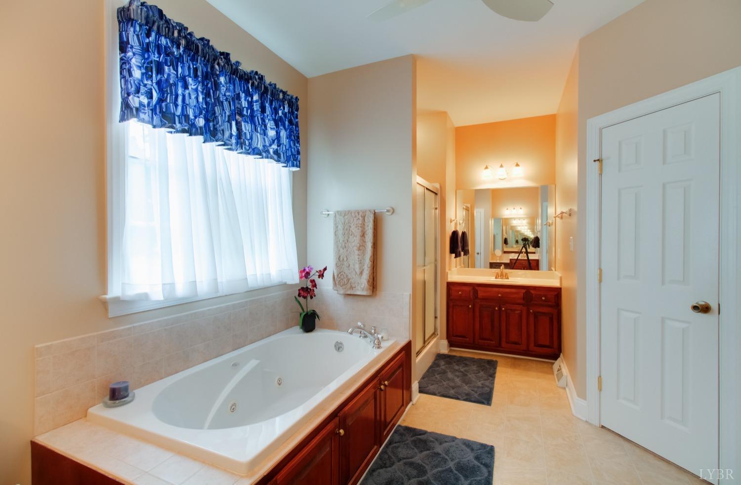 1228 Doyles Run Forest, VA 24551 - Photo 19 of 87 a bathroom with a tub sink and mirror