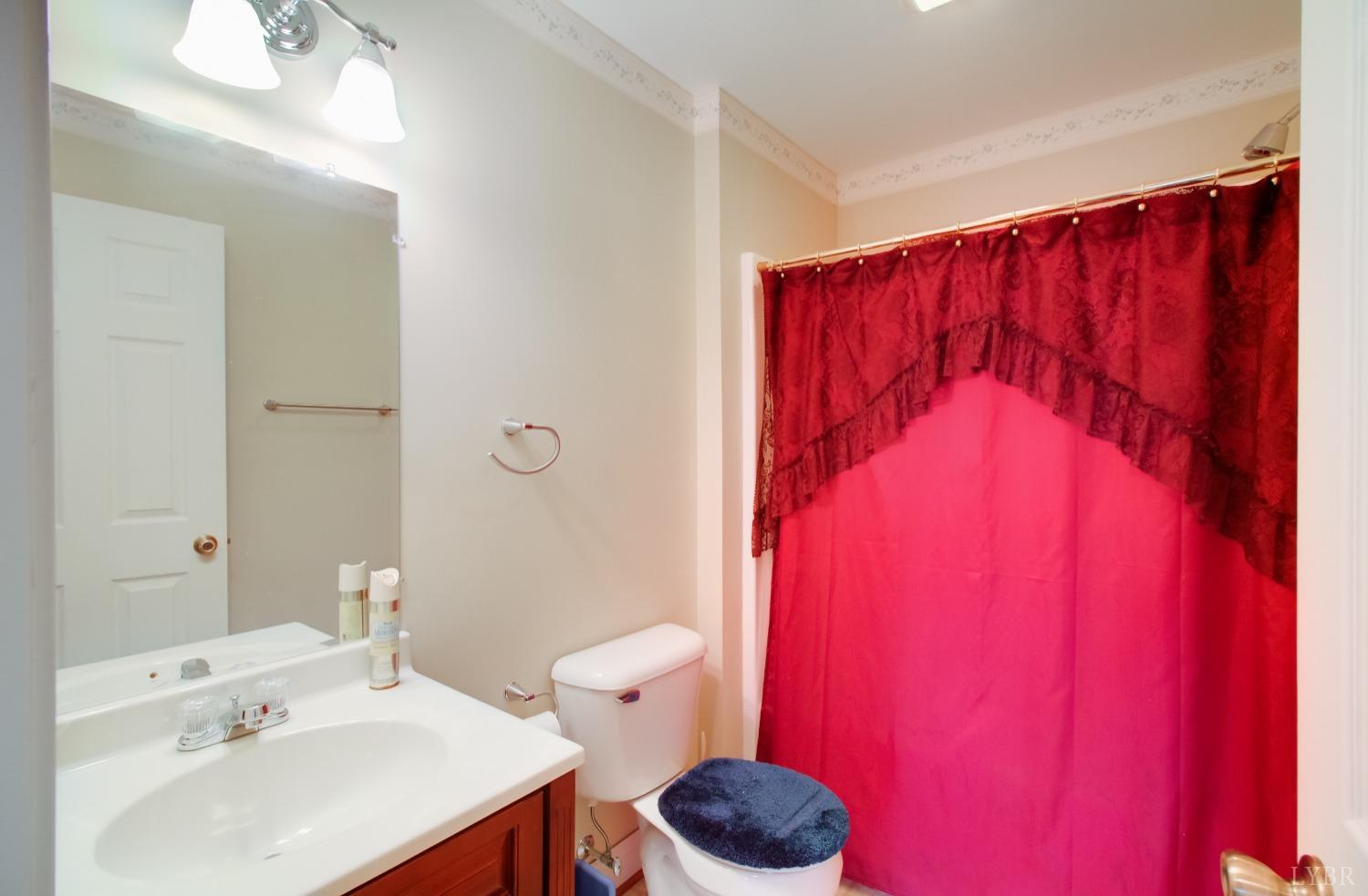 1228 Doyles Run Forest, VA 24551 - Photo 27 of 87 a bathroom with a sink a toilet and shower curtain
