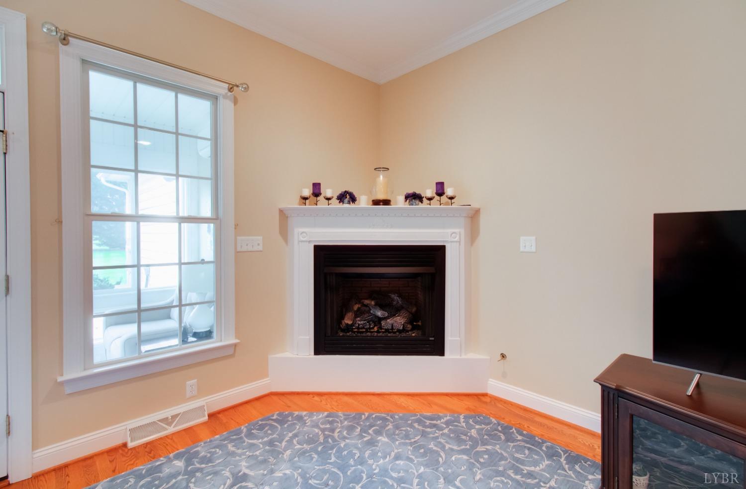 1228 Doyles Run Forest, VA 24551 - Photo 52 of 87 a living room with furniture and a fireplace
