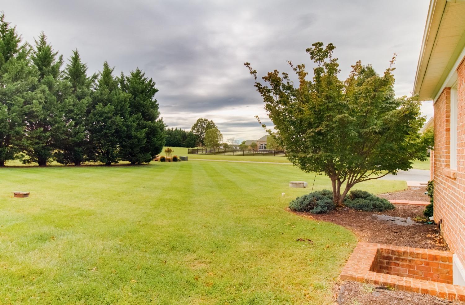 1228 Doyles Run Forest, VA 24551 - Photo 68 of 87 a view of a yard with an outdoor space