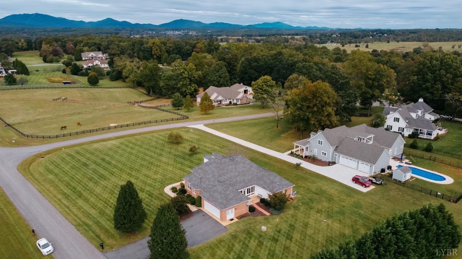 1228 Doyles Run Forest, VA 24551 - Photo 84 of 87 an aerial view of a house with a garden