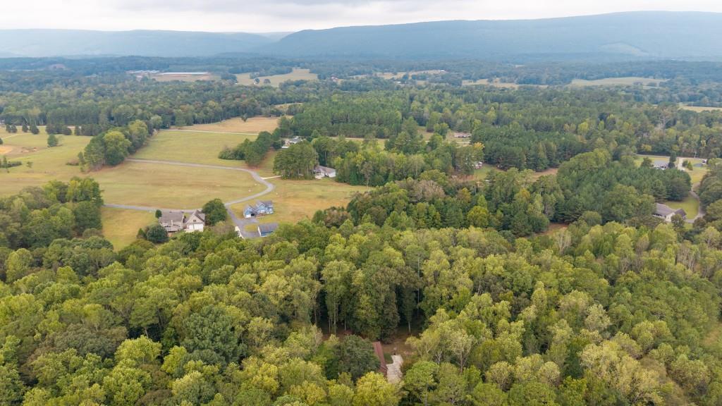 122 Bigham Road Trion, GA 30753 - Photo 9 of 45 Gallery Image 9