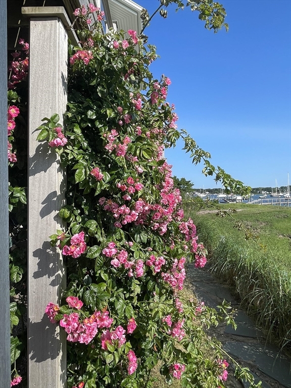 56 Stage Island Road Chatham, MA 02633 - Photo 36 of 41