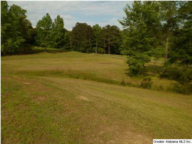2794 Warrior Valley Road Altoona, AL 35952 - Photo 2 of 17