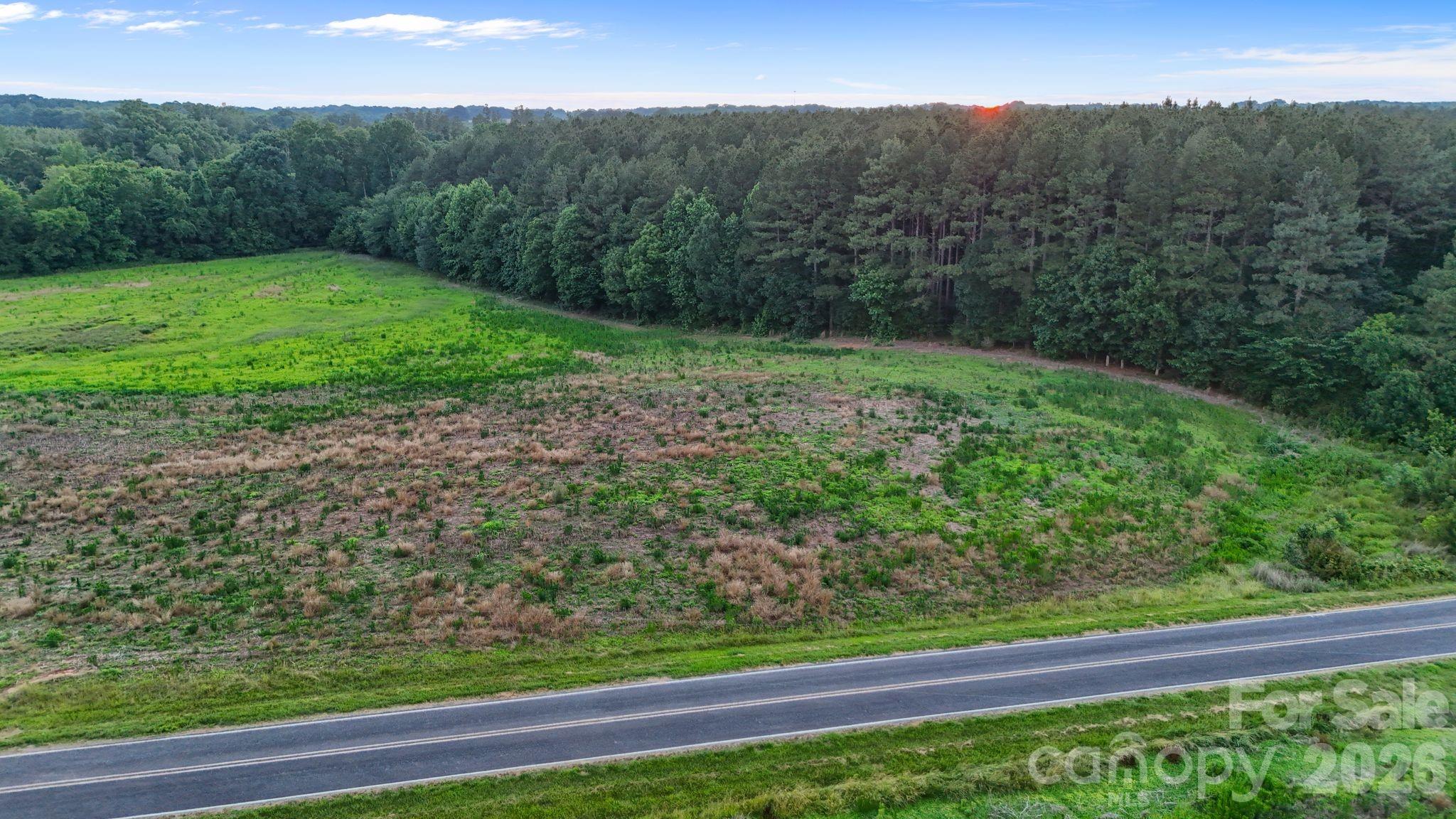 0 Lucy Short Cut Road, Unit 2 Marshville, NC 28103 - Photo 6 of 38 a view of a yard with a plant