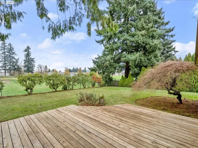 a view of a backyard and an trees