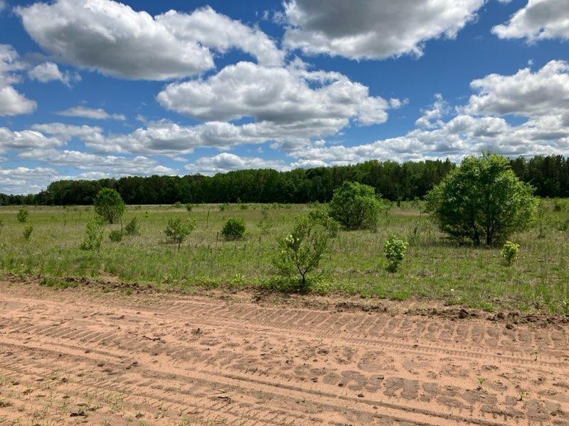 Tbd Keystone Avenue Harris, MN 55032 - Photo 30 of 40