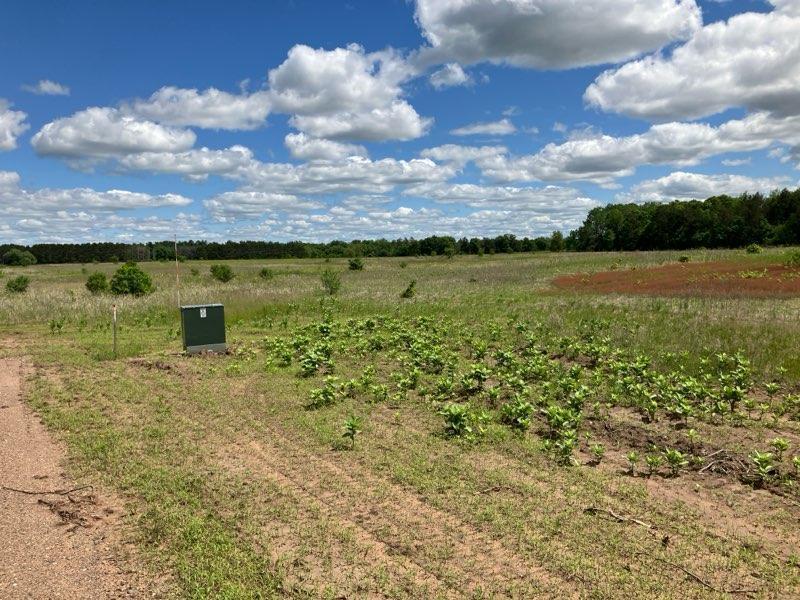 Tbd Keystone Avenue Harris, MN 55032 - Photo 31 of 40