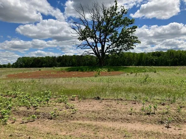 $650,000 | Tbd Keystone Avenue, Harris, MN 55032