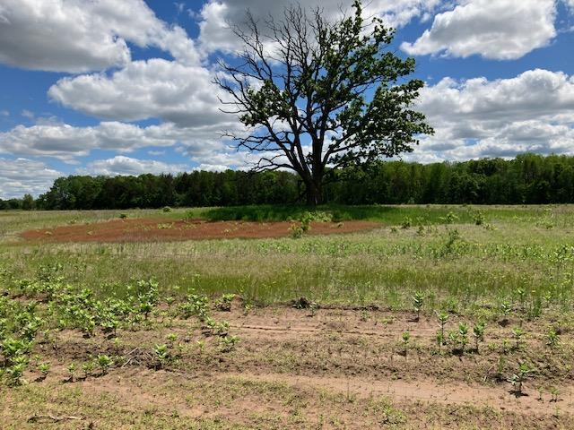 Tbd Keystone Avenue Harris, MN 55032 - Photo 33 of 40