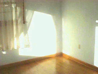 112 Lowe Road Sparta, KY 41086 - Photo 3 of 6 Gallery Image 3