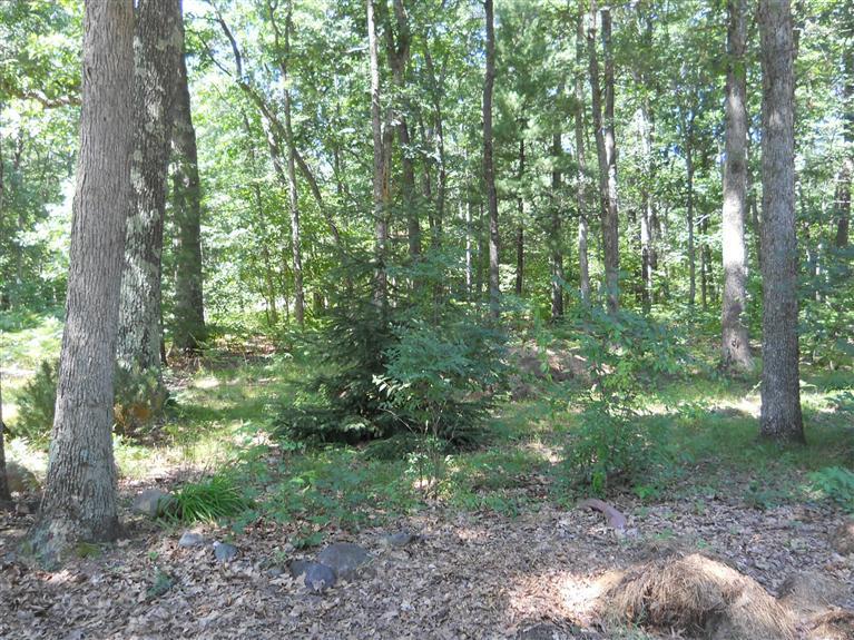 655 East McKinley Road Rothbury, MI 49452 - Photo 3 of 3 Additional Photo