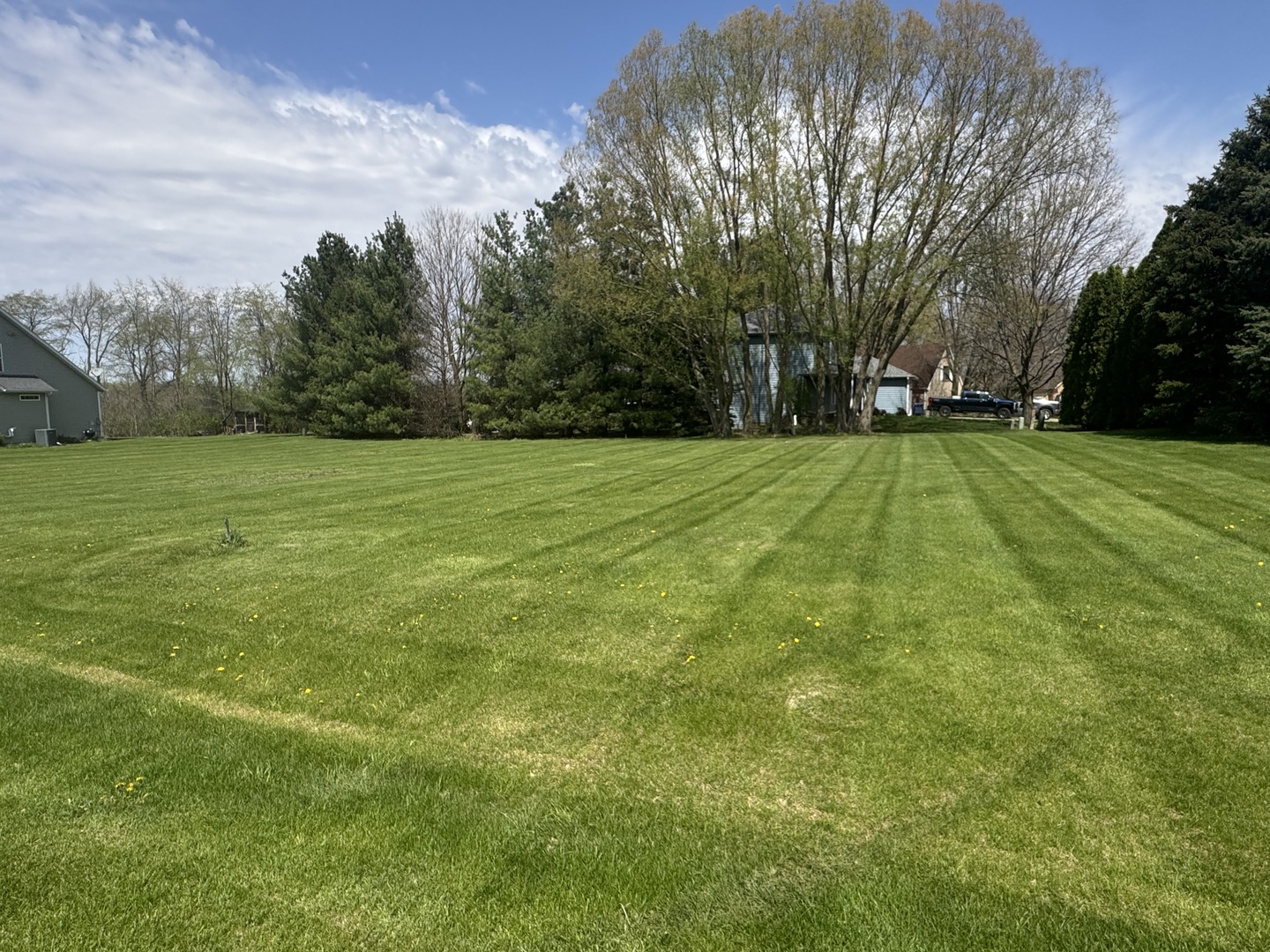 11755 Ellwood Greens Road Genoa, IL 60135 - Photo 3 of 4 a view of field with tall trees