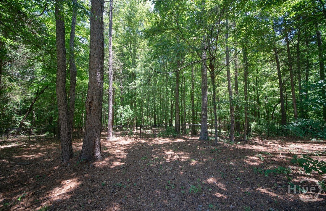 217 Hidden Spring Way Athens, GA 30605 - Photo 47 of 55 Wooded portion of Back Yard