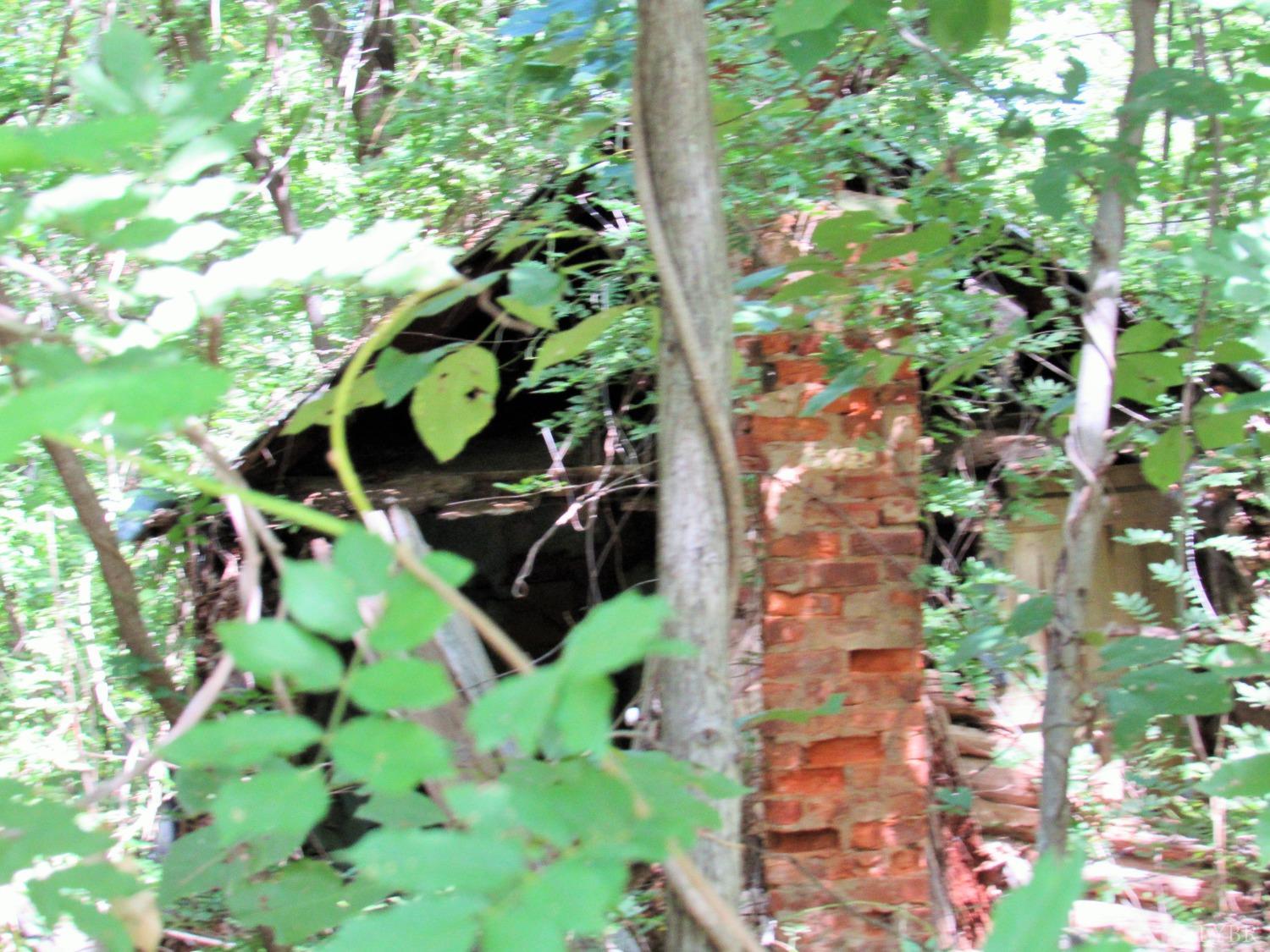 0 James River Road Wingina, VA 24599 - Photo 4 of 5 a plant that is in a garden