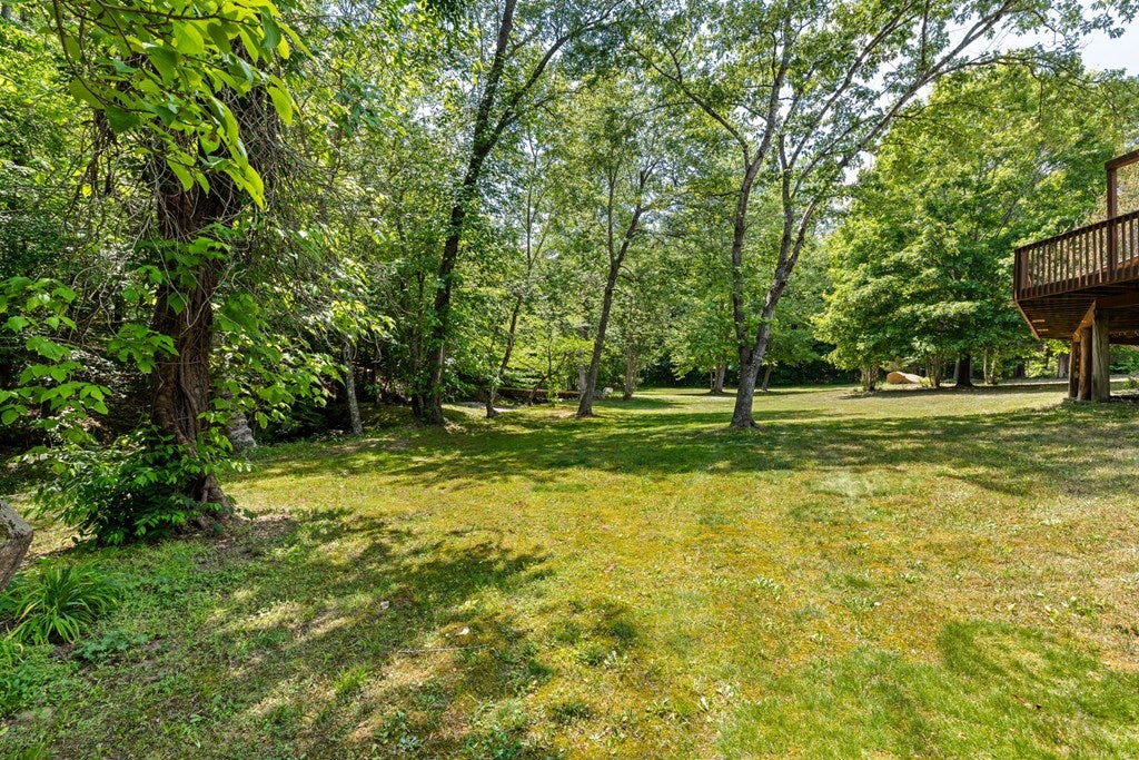 2533 Beech Forest Road Kenbridge, VA 23944 - Photo 32 of 58 Gallery Image 32