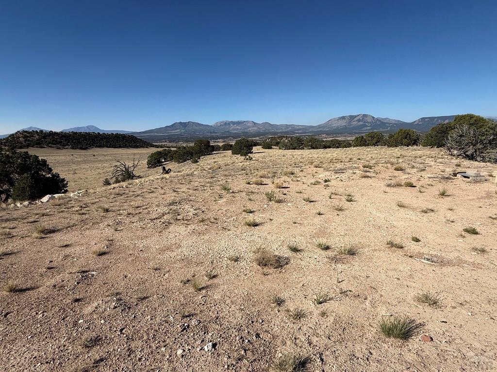 26 Turkey Creek Ranch Gardner, CO 81040 - Photo 6 of 8