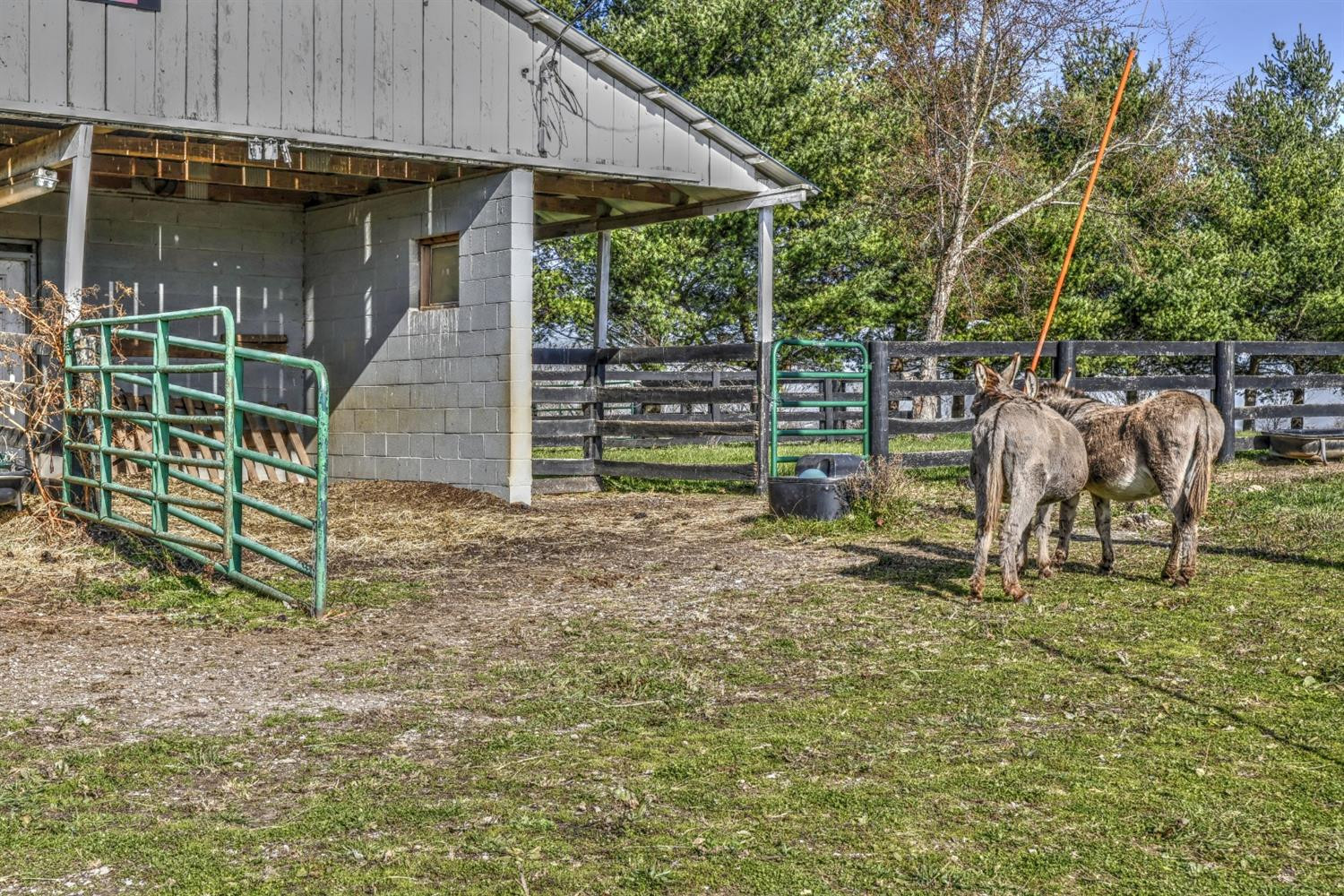 711 Collins Road Paris, KY 40361 - Photo 94 of 95 Photo 95