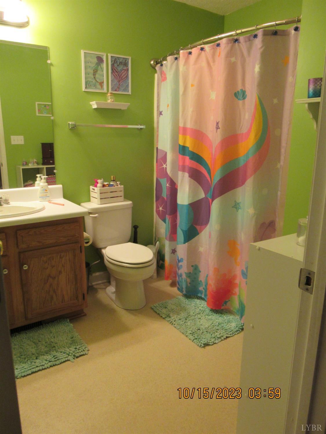 1360 Greenhouse Road Rustburg, VA 24588 - Photo 20 of 29 a bathroom with a sink toilet and shower