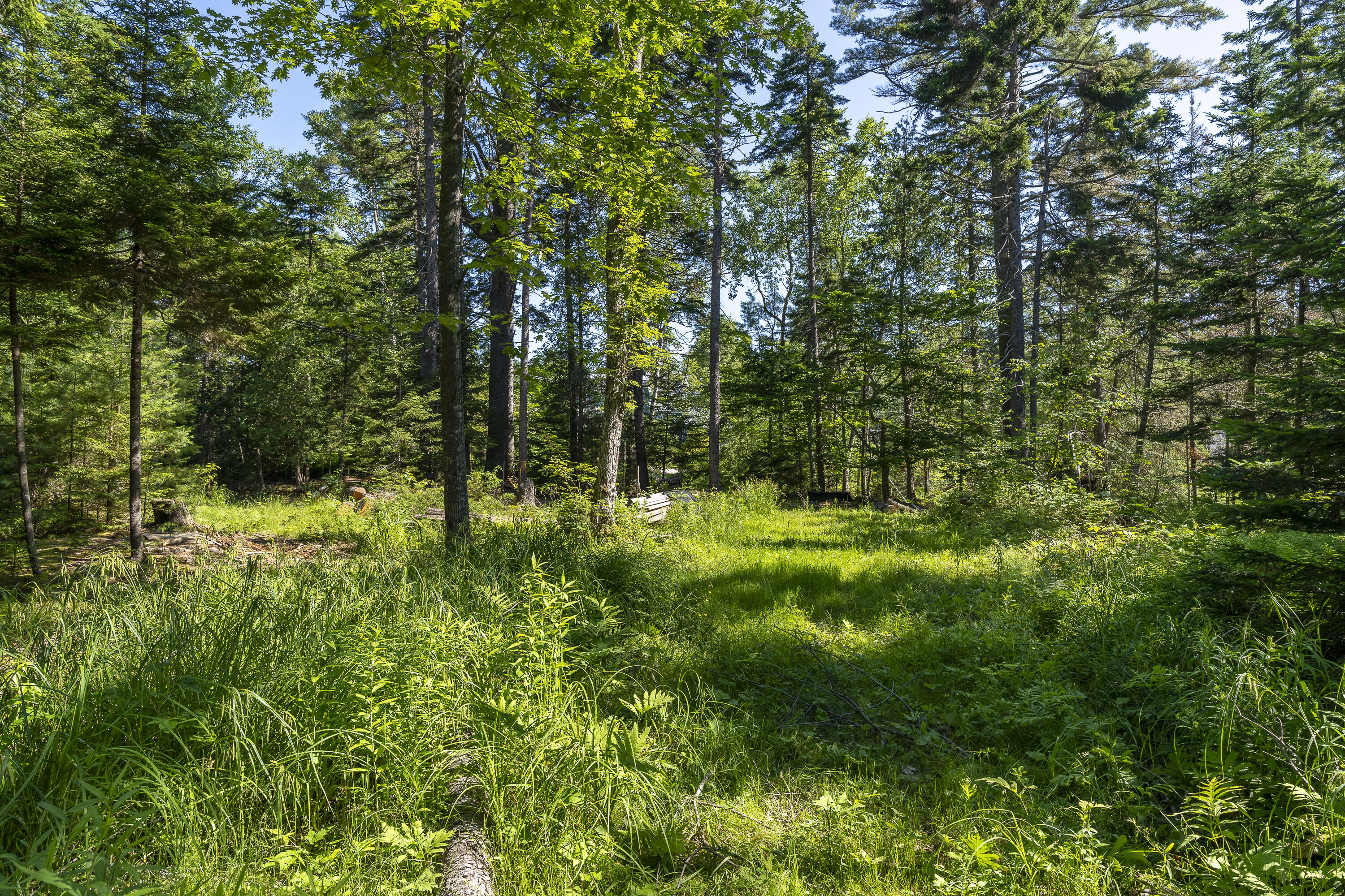 0 Catlin Shore Road Harpswell, ME 04079 - Photo 12 of 25 Catlin Shore Rd. Harpswell, ME-11