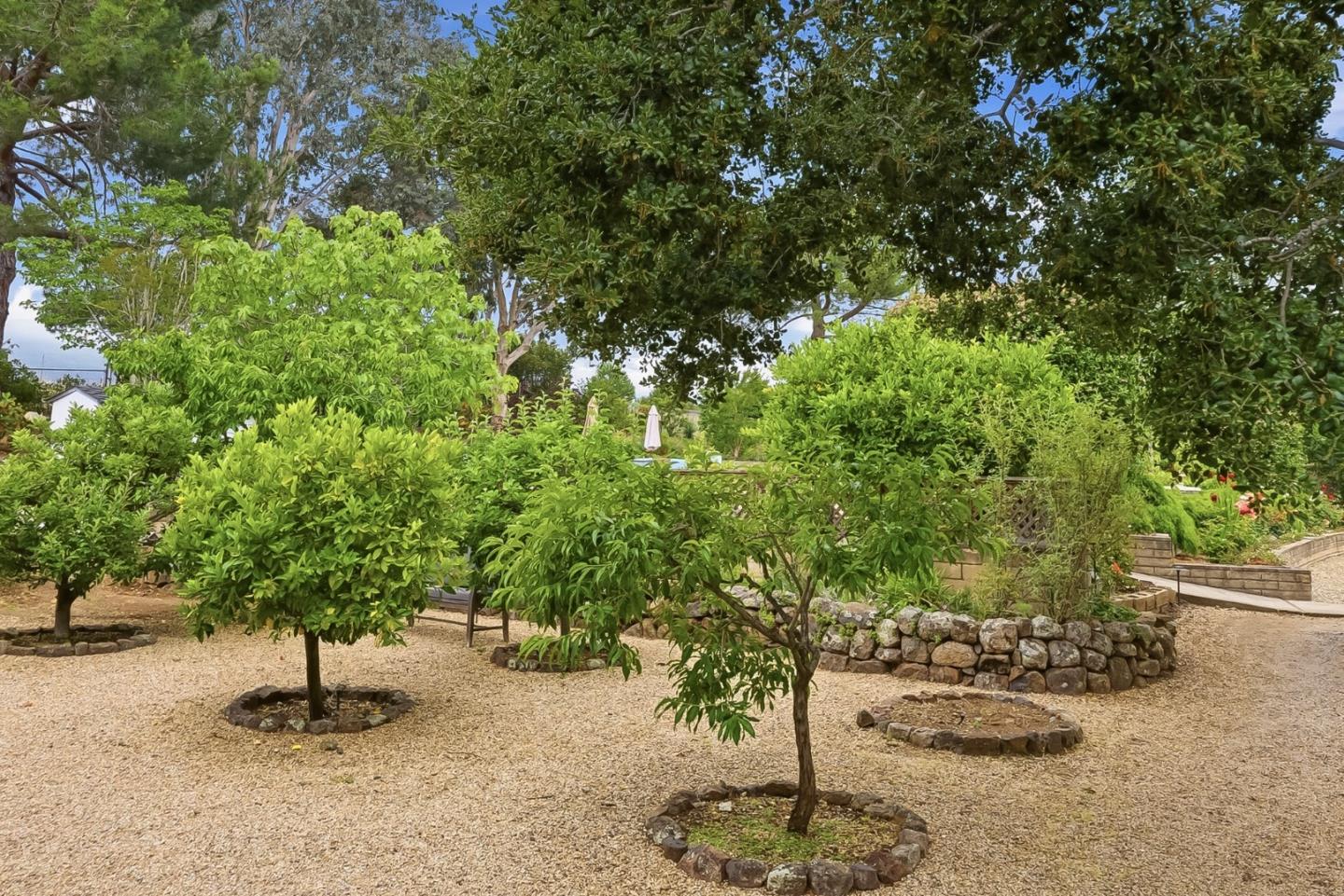 285 Ridgeway Road Woodside, CA 94062 - Photo 26 of 28 a view of outdoor space and yard