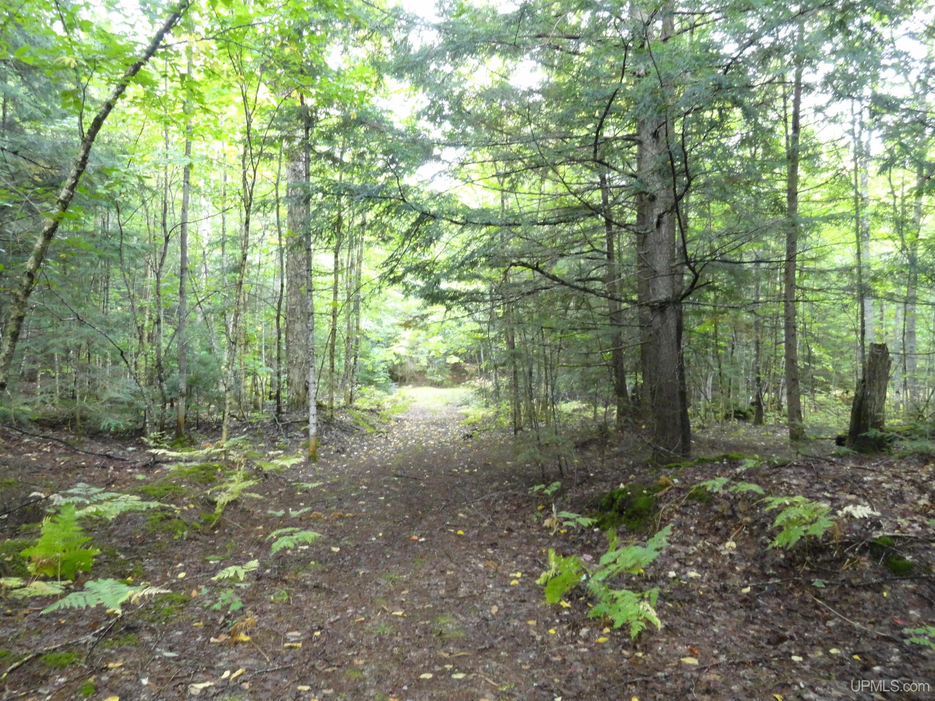 Tbd Tbd Lost Creek Road Ishpeming, MI 49849 - Photo 27 of 36