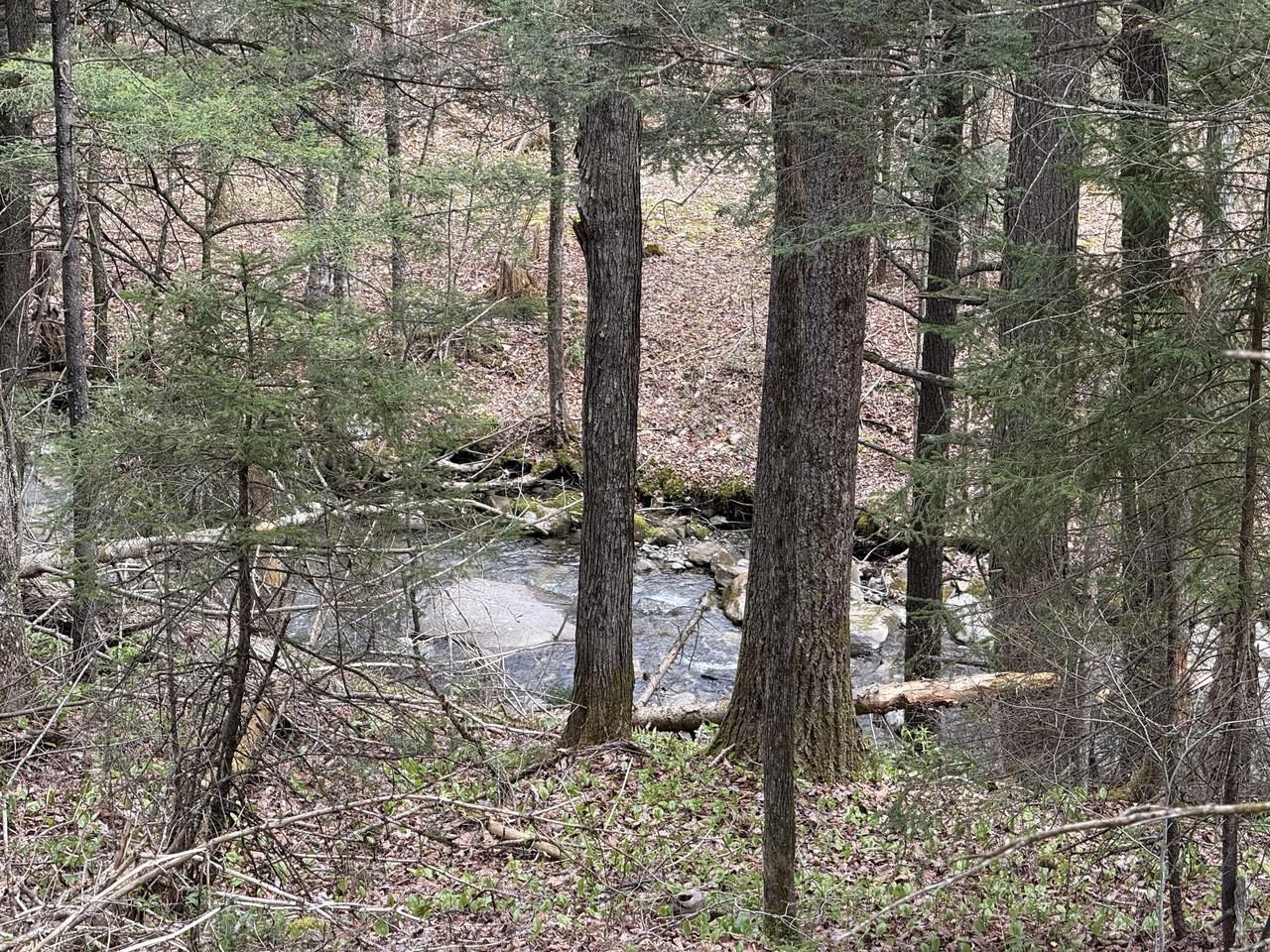 169 Jenkins Brook Road Chelsea, VT 05038 - Photo 22 of 30