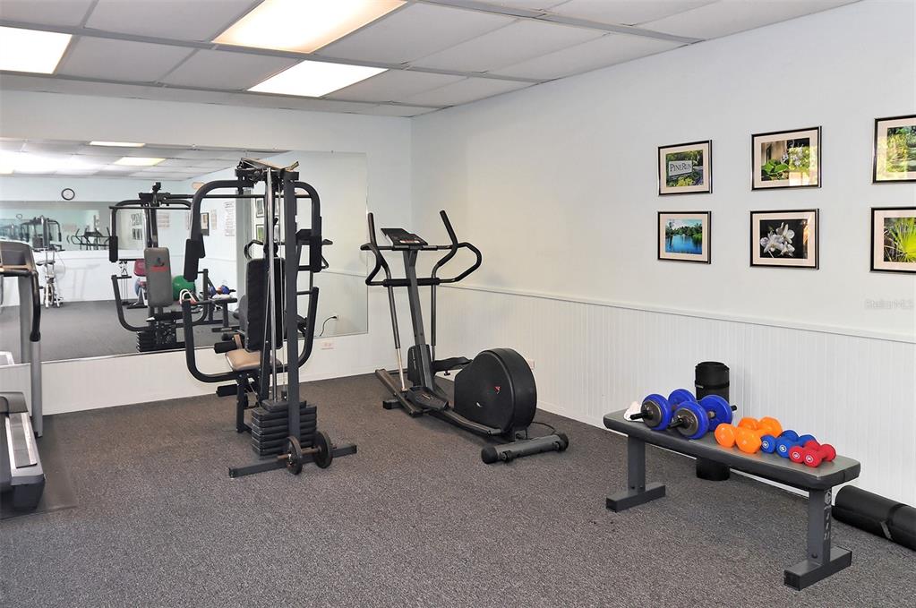 455 Oak Point Road Osprey, FL 34229 - Photo 57 of 64 Gallery Image 57