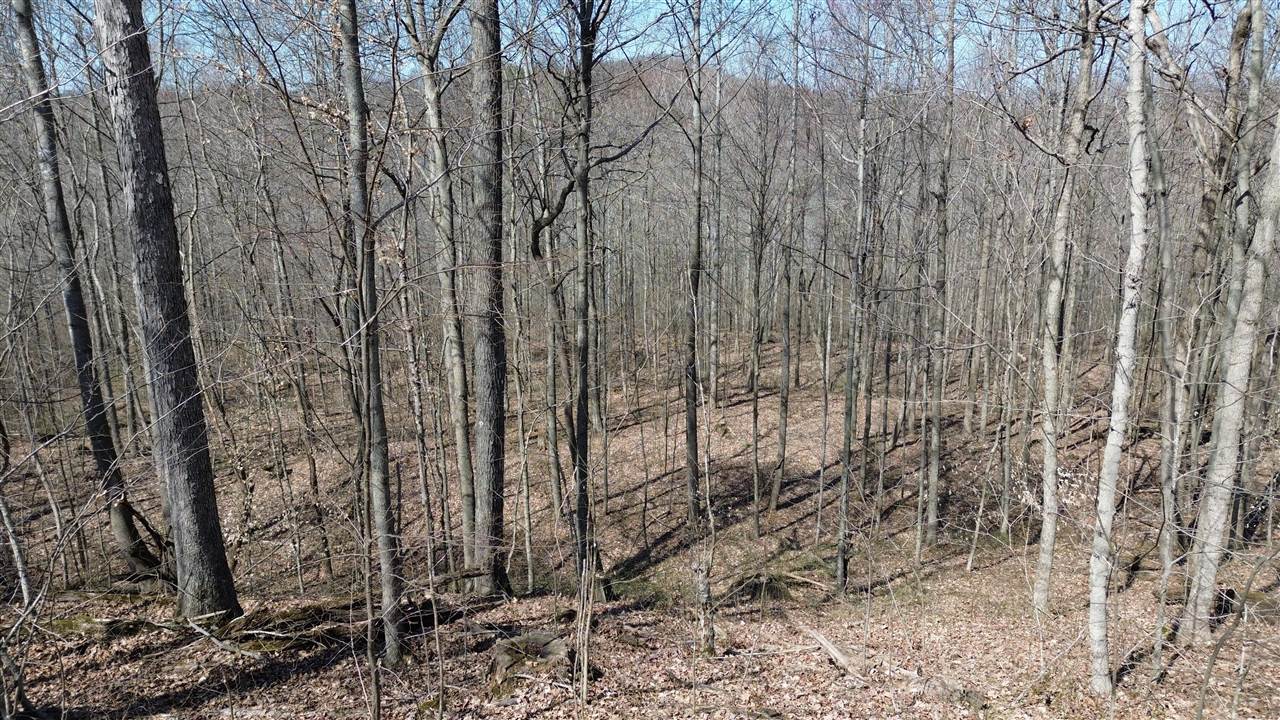 20 A Riverside Benleo Road Bowling Green, KY 42101 - Photo 21 of 26 Gallery Image 21